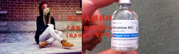 прущие грибы Шарыпово