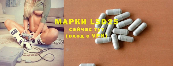 твердый Ростов