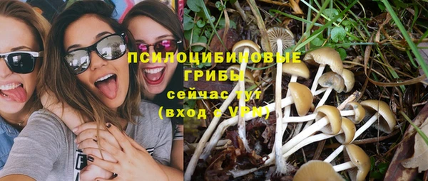 а пвп мука Рославль