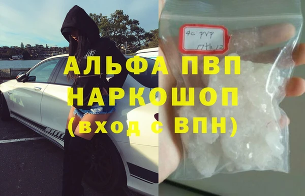 твердый Ростов